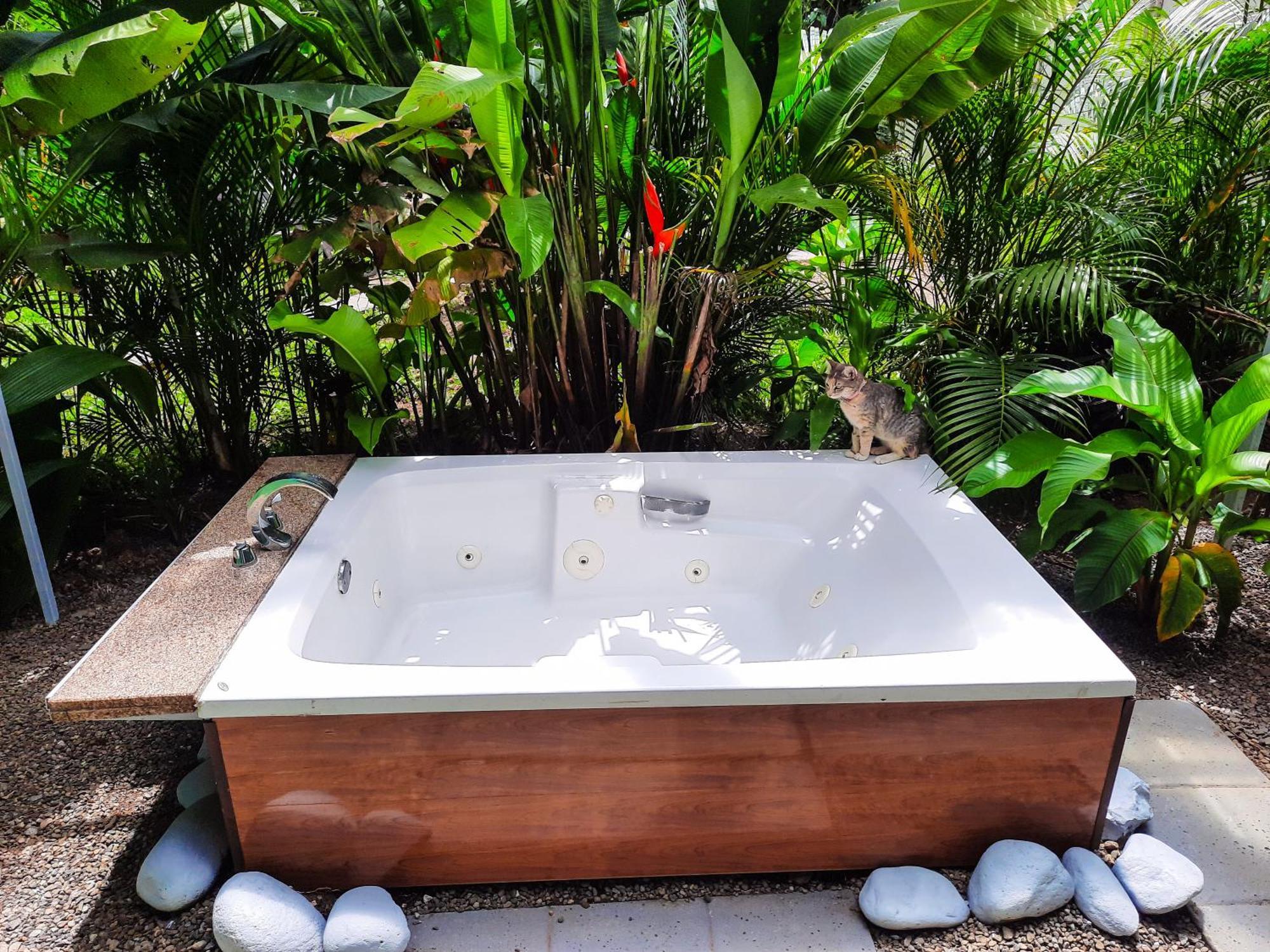 Country Villa La Fortuna Bilik gambar